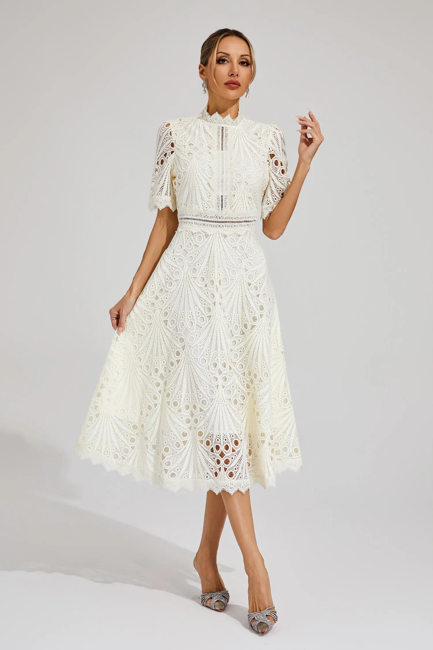 Women's Intricate Lace Dress | Elegant High Neck A-Line Midi Summer Dress 0